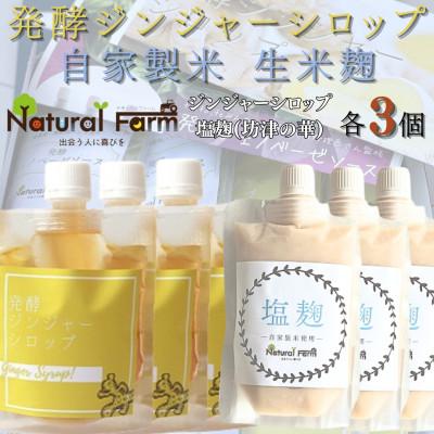ふるさと納税 枕崎市 発酵ジンジャーシロップ&amp;塩麹　各3パックセット B8-25
