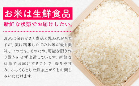 【6ヶ月定期便】夢つくし 令和7年産 米 10kg 白米《お申込み月の翌月から出荷開始》 福岡県 小竹町 お米 白米 国産