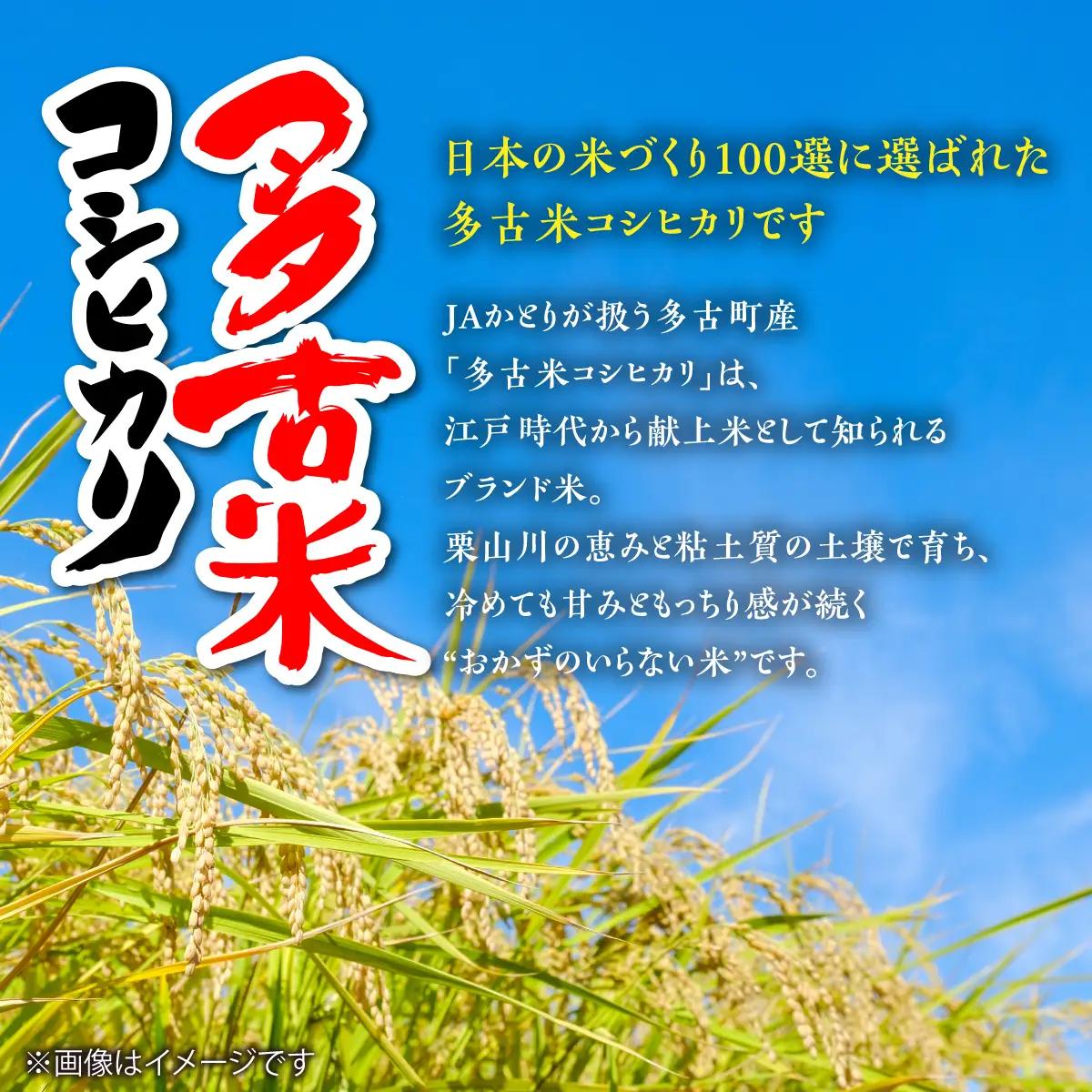 【令和7年産】多古米コシヒカリ　精米10kg(5kg×2袋)_ コシヒカリ 米 こしひかり_【配送不可地域：離島・沖縄県】 TAKN001