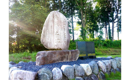 【令和7年産】【定期便・下旬お届け】5kg×12ヶ月　南魚沼産コシヒカリ生活応援