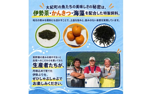 （冷凍）【１月第４週発送】伊勢ぶり しゃぶしゃぶ セット 選べる配送月 約200g ／ 2人前 3人前 鰤 ブリ ひろめ付 冷凍 年内配送 年末 お取り寄せ 海鮮 魚 ギフト 鍋 海産物 水産物 三重
