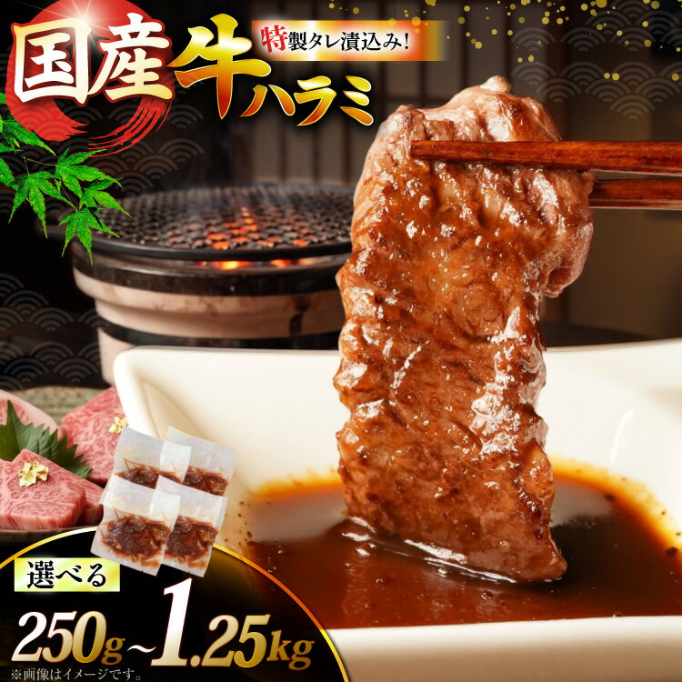 【ふるさと納税】 牛肉 国産 焼肉 牛ハラミ サガリ 小分け 容量選択可 タレ漬 味付 250g 500g 750g 1kg 1.25kg [宇美ホルモン 福岡県 宇美町 um40azp100001] ハラミ はらみ 牛はらみ 牛 肉 焼き肉 焼肉セット ホルモン タレ漬け たれ漬け 味付き 冷凍