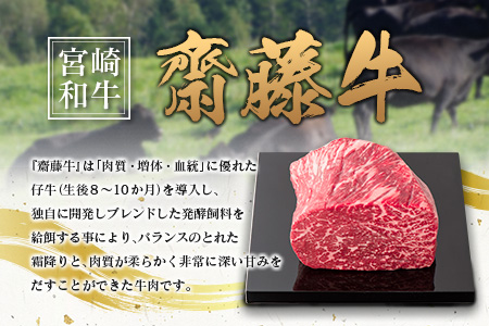 宮崎和牛『齋藤牛』ローストビーフ 300g 【B547】