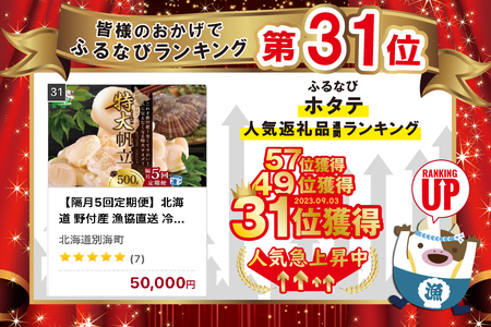 【隔月5回定期便】特大 冷凍ホタテ 貝柱 500g（ ほたて定期便 ホタテ定期便 帆立定期便 定期便 北海道定期便 人気定期便 ）