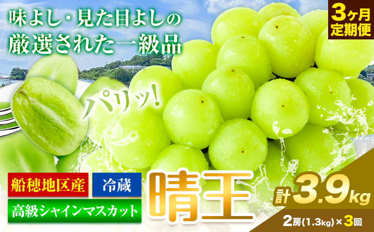 高級 シャインマスカット 3ヶ月 定期便 [2025年先行予約] ぶどう 晴王 2房 3.9kg 岡山県産 《9月上旬-11月末頃出荷(土日祝除く)》 ハレノフルーツ マスカット 送料無料 岡山県 浅口市 フルーツ 果物 贈り物 ギフト 国産 岡山県産【配送不可地域あり】（北海道・沖縄・離島）
