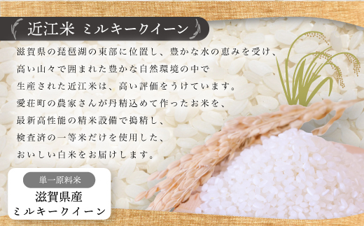 近江米　ミルキークイーン　白米5kg　令和6年産 BD03