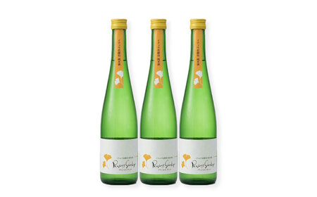 イチョウ花酵母純米酒プリンセスギンコ（500mL）3本セット / 純米酒 お酒 日本酒 / 稲沢市 / 合同会社祖父江商工販売 [BMBC010]