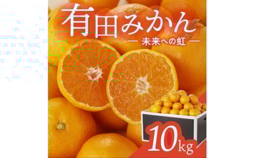 【1月お届け】有田みかん「未来への虹」（10kg）(A2-2)