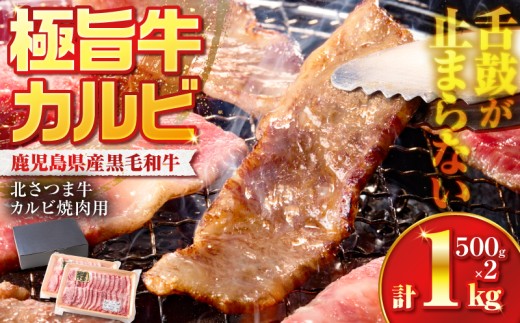 北さつま牛カルビ焼肉用　K137-006