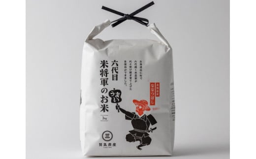 C17　無洗米　令和６年産　ななつぼし　３kg×12回【定期便】