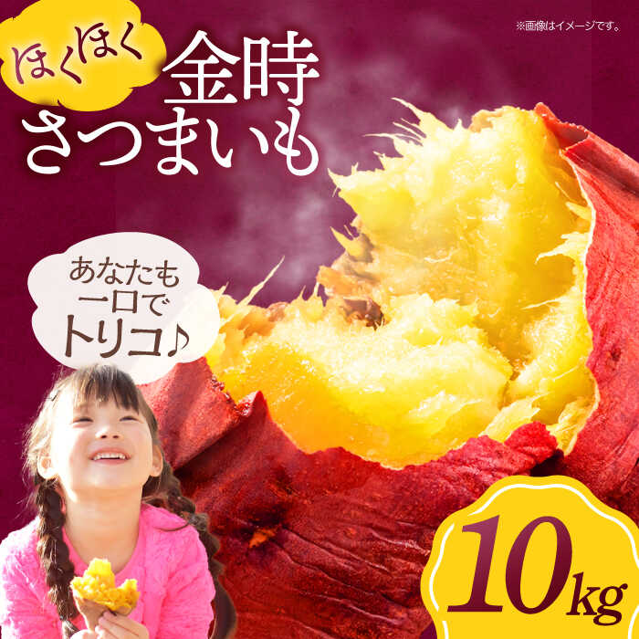 【ふるさと納税】さつまいも（ 金時 ）10kg 大洲市/愛たい菜[AGAP013] いも 芋 さつまいも 薩摩芋 さつま芋 野菜 野菜セット やさい やさいセット 新鮮野菜 愛媛県産 大洲市産 産地直送 おすすめ 人気 お取り寄せ 送料無料 贈答 ギフト