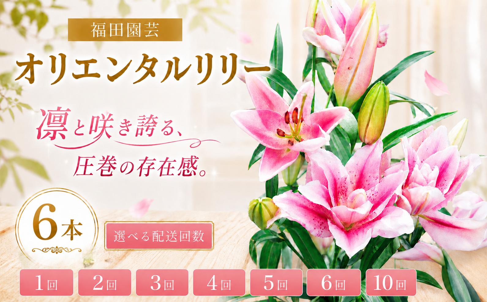 
                  ユリ オリエンタルリリー 6本セット 選べる 配送回数 1回 2回 3回 4回 5回 6回 10回 花束 贈り物 ギフト プレゼント 誕生日 母の日 父の日 敬老の日 記念日 お祝い 結婚式 ウェディング ブーケ 華やか 大輪 香り 優雅 エレガント つぼみ ピンク 白 高級 切り花 福田園芸 花好き こだわり 栽培 メッセージカード ラッピング 安芸市 高知県
                