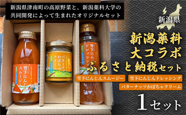 【野菜の栄養まるごとセット】新潟薬科大コラボ-ふるさと納税セット- 雪下にんじんスムージー1本 雪下にんじんドレッシング1本 バターナッツかぼちゃクリーム1瓶 1セット新潟県 津南町 155751-0