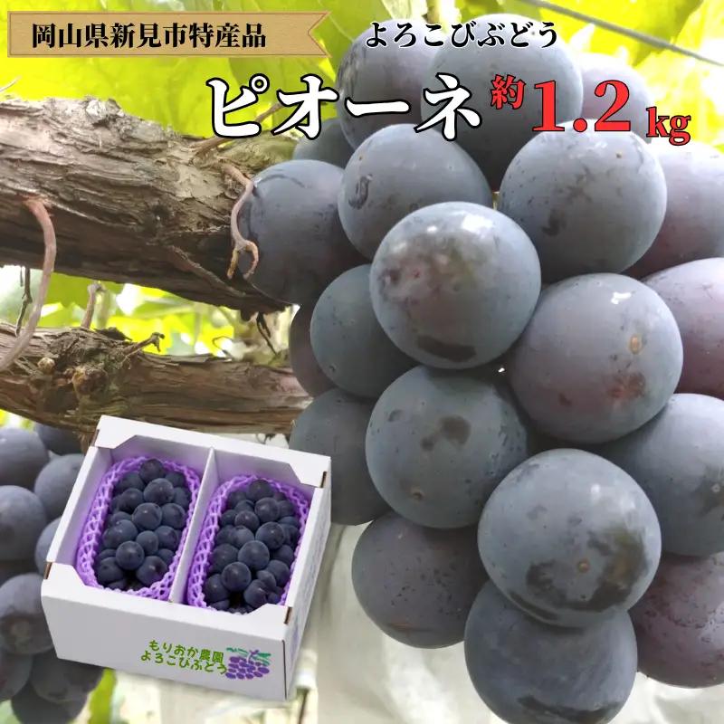 ピオーネ 約1.2kg 2房 岡山県新見市 もりおか農園 よろこびぶどう  【先行予約 2026年9月上旬から順次発送】
