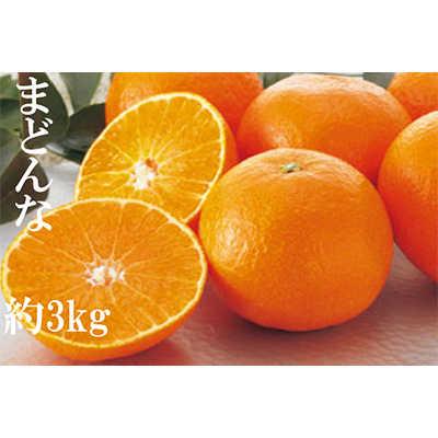
            マドンナ(愛媛果試第28号)＜家庭用＞約3kg＜C76-7＞_ みかん ミカン 柑橘 マドンナ まどんな くだもの 果物 ふるーつ 青果 果実 甘い ジューシー 産直 産地直送 旬 家庭用 柑橘類 人気 愛媛 果汁 八幡浜市 【1506315】
          