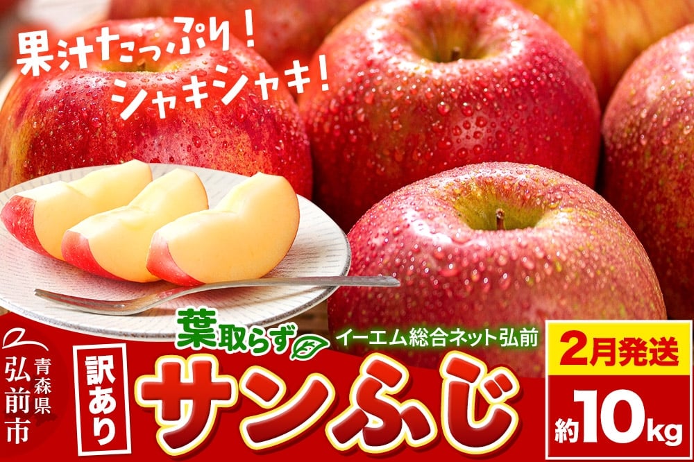 
            【26年2月発送】りんご【訳あり】葉取らず サンふじ 約10kg 糖度 13度以上 EMりんご
          