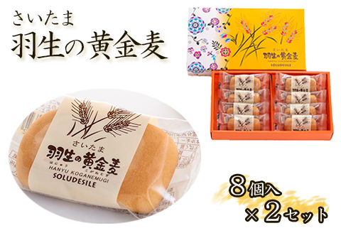 お菓子 羽生の黄金麦 8個入り箱×2箱 洋菓子 小分け お土産 プレゼント 手土産 焼き菓子 埼玉県 羽生市