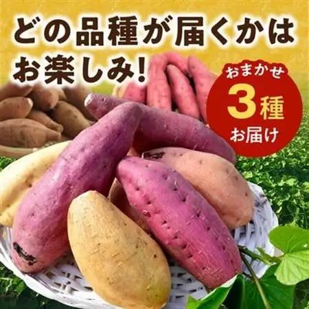 さつまいも3種おまかせ4kgセット【1185863】