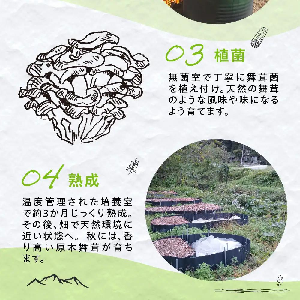 【9～10月発送】原木栽培舞茸500g | 舞茸 まいたけ 国産 野菜 やさい きのこ amrita農園 KM003