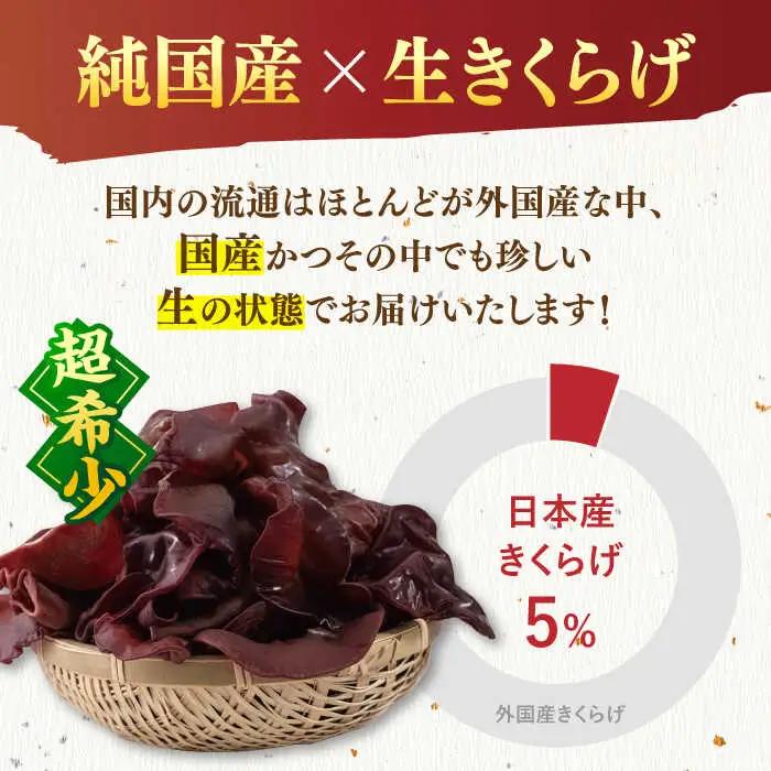 【お中元対象】福岡県産生きくらげ 1kg ADBA001 きくらげ