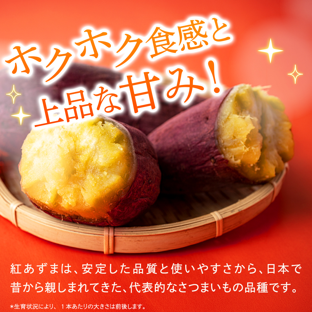 紅あずま 約 2.5kg （3回 定期便 ）（茨城県共通返礼品 [さつ