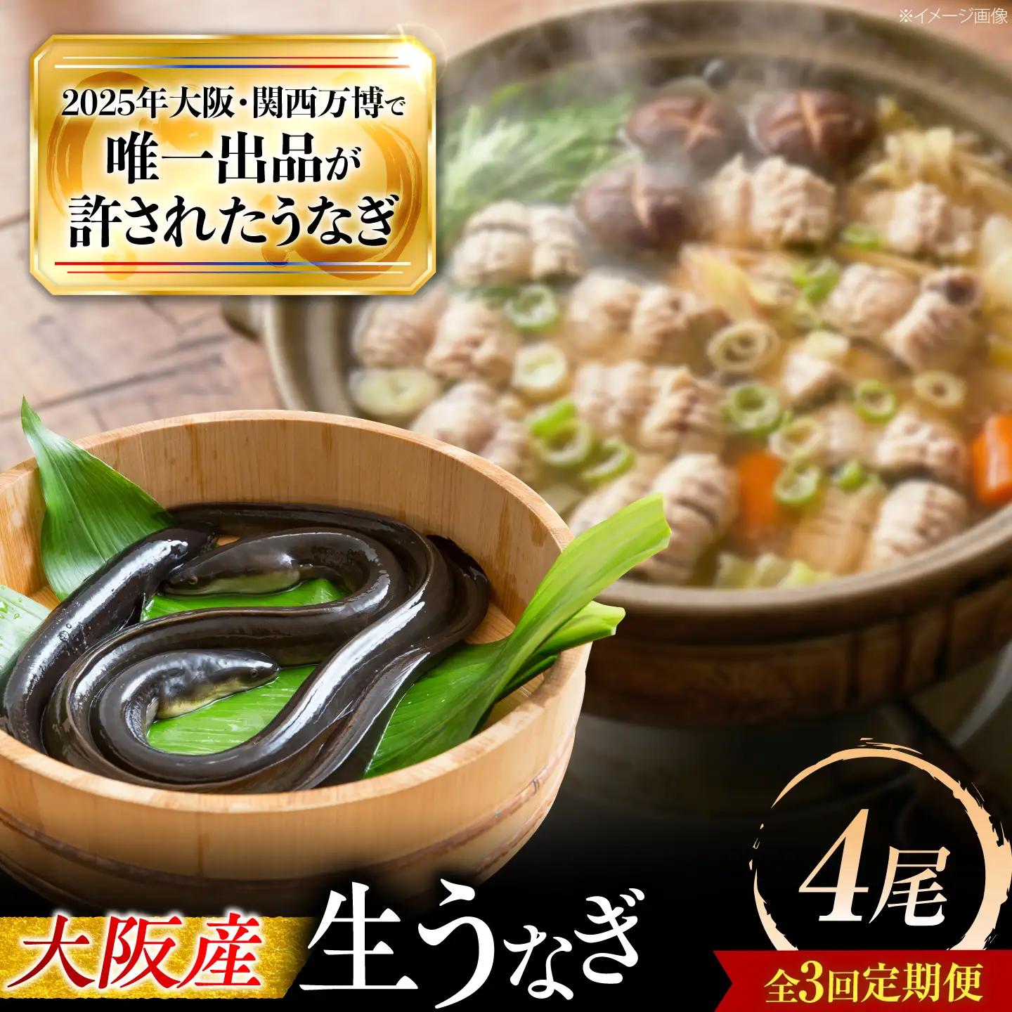 【3回定期便】 鰻 美陵鰻の生鰻 4尾 BLAL072