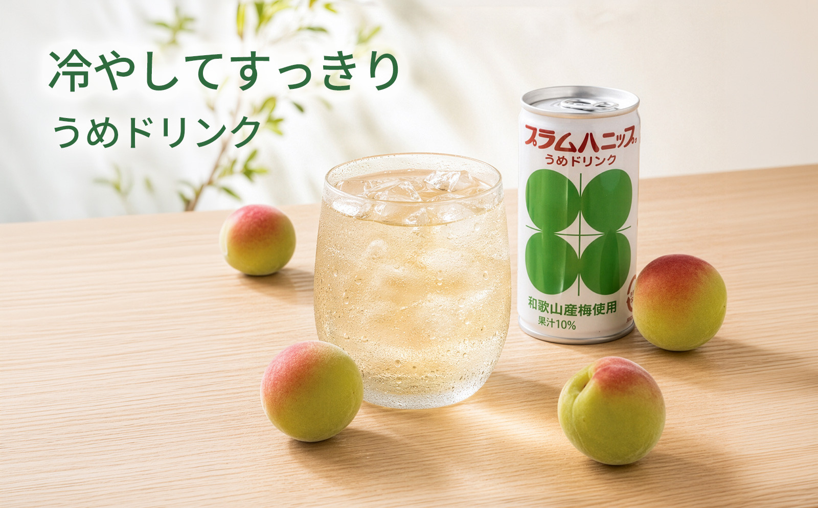 プラムハニップ 優しい甘さの懐かしの梅ドリンク　1ケース（190g×30本）