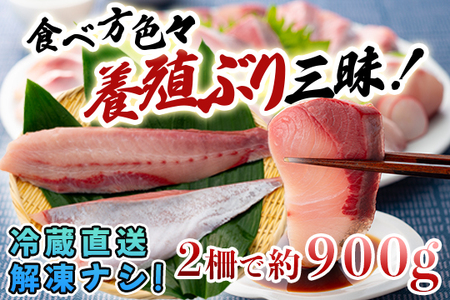 ブリ ぶり 鰤 2柵 セット 養殖 冷蔵 新鮮 刺身 年末 正月 ぶり鍋 ブリしゃぶ おすすめ 鰤