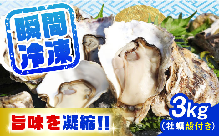 特選 牡蠣三昧！【瞬間冷凍】広島牡蠣　殻付き３kg カキ かき 広島 料理 簡単 魚介類 海鮮 ギフト 広島県産 江田島市/株式会社門林水産 [XAO030] 牡蠣