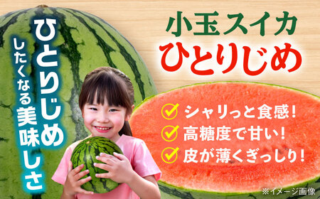 【先行予約】【数量限定】 肥後グリーン メロン 1玉(2kg) ＆ 小玉 すいか 1玉(2kg) ひとりじめ 計4kg【合同会社 福福堂】[AYAC016]