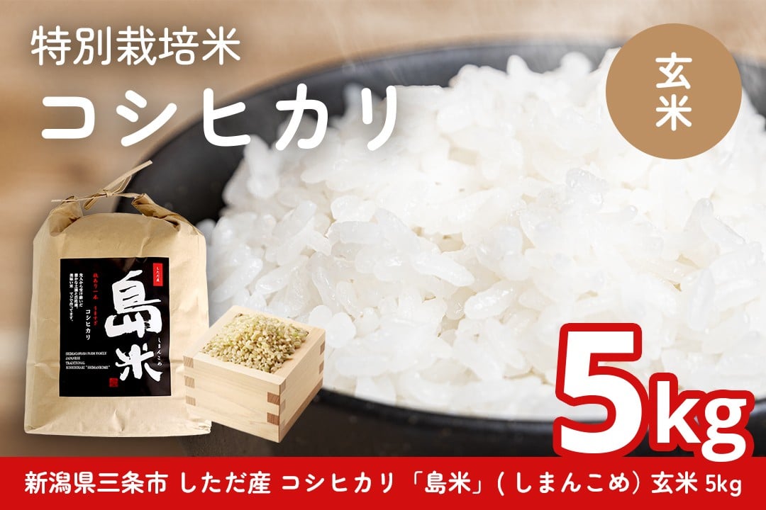 
                  玄米 新潟県特別栽培米 コシヒカリ5kg 玄米「島米(しまんこめ)」新潟県産 コシヒカリ 玄米 三条市 下田 令和7年産玄米 コシヒカリ 玄米 [農事組合法人島川原]【015S197】
                