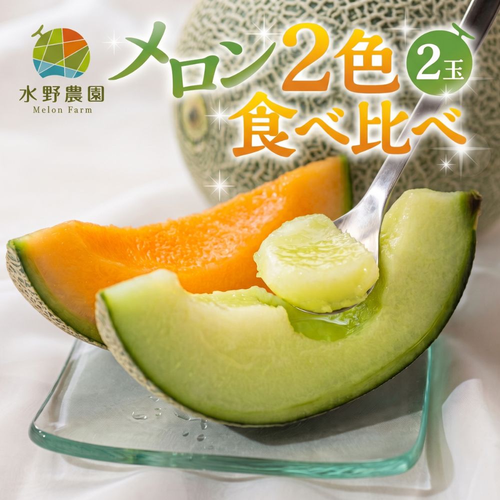 【ふるさと納税】 先行予約 2027年お届け タカミメロン 2色食べ比べ2玉 メロン めろん 先行受付 フルーツ 果物 お中元 お取り寄せ ギフト 渥美半島 田原市 産地直送 送料無料 農家直送 産直 赤肉 青肉 タカミメロン タカミレッド くだもの デザート 赤肉メロン