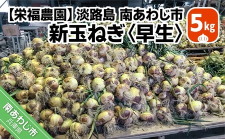 新玉ねぎ　淡路島南あわじ市 5kg 早生　◆配送4月下旬～5月下旬