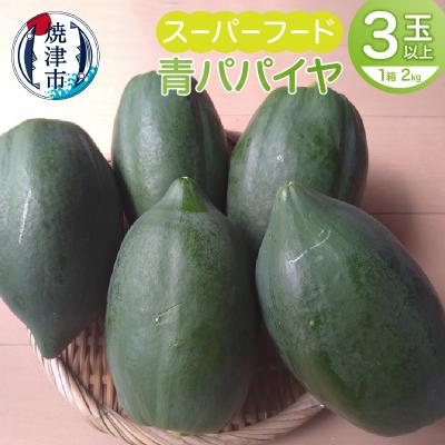 ふるさと納税 焼津市 青パパイヤ2kg(3玉以上)×1箱(a14-069) | 