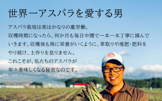 【令和8年産先行予約】北海道 美瑛町幻のアスパラ 本山農場のラスノーブル（グリーンアスパラ）M～2Lサイズ 1kg ≪3回便≫[042-13]