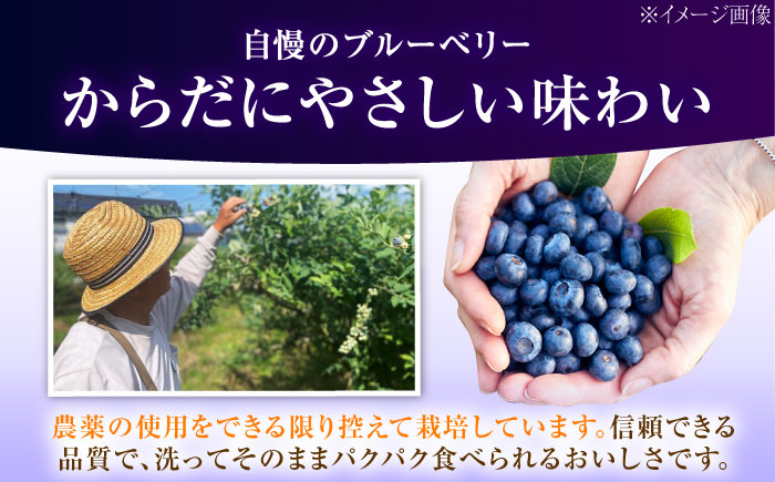 ブルーベリー 生ブルーベリー110ｇ×10パック【7月上旬から8月下旬まで順次発送】 / 冷蔵 フルーツ 果物 ブルーベリー 生 ジャム スムージー ドリンク / 愛媛県砥部町/西岡さん家のみかん園 