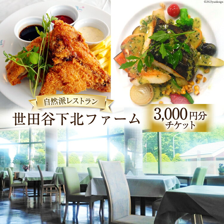 【ふるさと納税】 商品券 レストラン 世田谷下北ファーム エアチケット 3000円分 [剣淵町役場 北海道 剣淵町 14656143] 食事券