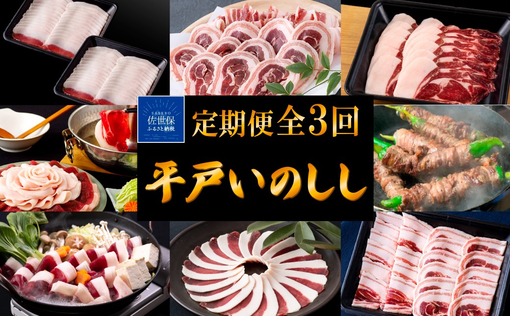 
            B566　《定期便》Newジビエ 平戸いのしし 食べ比べ月替わり便(ロース･肩ロース･バラ)【3回お届け】
          