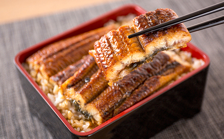 【毎月定期便】魚鶴商店が選ぶ人気お魚A(サバフィレ・うなぎ蒲焼・紅鮭切身)全3回【配送不可地域：離島】【4001330】