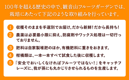 頒布会 フルーツ頒布会「旬宴」-梅 全10回お届け 2人～3人用 有限会社柑香園 定期便