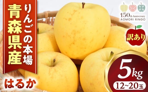 【訳あり】高級りんご【はるか】約5kg（12～20玉）【2025年産・先行予約】★2025年12月上旬～2026年1月上旬頃まで発送予定★ りんご 林檎 リンゴ 訳あり はるか 国産 フルーツ 果物 希少 青森県 三戸町 H3022