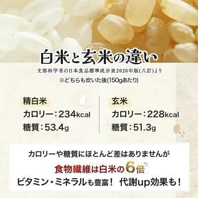 ふるさと納税 岩見沢市 《令和7年産!》『100%自家生産玄米』善生さんの自慢の米 玄米ななつぼし10kg ※一括発送 |  | 02
