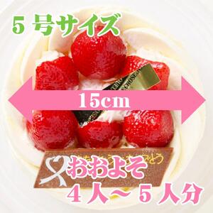 イチゴデコレーション5号サイズ クリスマス クリスマスケーキ ケーキ お祝い お誕生日ケーキ バースデーケーキ 記念日ケーキ サプライズ【074D-033】