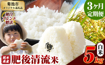 【3ヶ月定期便】熊本県産 肥後清流米 白米 5kg ブレンド米《お申込み翌月から出荷》 熊本県産 ふるさと納税 精米 米 こめ ふるさとのうぜい コメ お米 おこめ