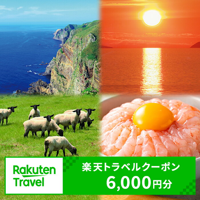 【ふるさと納税】北海道羽幌町の対象施設で使える 楽天トラベルクーポン 寄付額20,000円(クーポン6,000円)【99012】