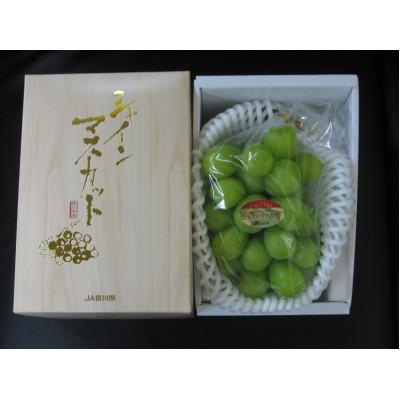 ふるさと納税 高松市 【発送月固定定期便】【ALL化粧箱】高松市自慢のぶどう【F】全2回