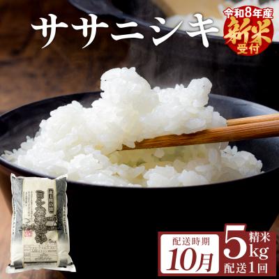 ふるさと納税 石巻市 【10月配送】 <先行受付> 米 令和8年産 ササニシキ 精米 5kg 単品 新米 こめ コメ お米