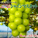 【ふるさと納税】【先行予約】大人気！ 長野県産シャインマスカット 4kg以上 (約5～9房)《やまざきファーム》しっかり熟した、朝採り・新鮮ぶどう！■2025年発送■※9月中旬頃～11月中旬頃まで順次発送予定 フルーツ 果物 葡萄 ブドウ ぶどう シャインマスカット