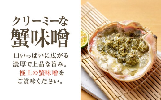 【先行予約/12月25日より順次発送】【年末希望】越前がに 800ｇ×2杯 ズワイガニ ずわいがに ボイル 冷蔵 小浜市 / まるほ商店 【配送不可地域：北海道・沖縄・離島】[BFCS040]
