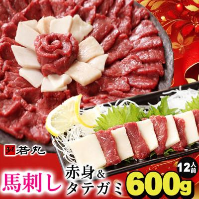 ふるさと納税 飯島町 馬刺し赤身500gとタテガミ100gのセット 12人前★専用タレ6個付き
